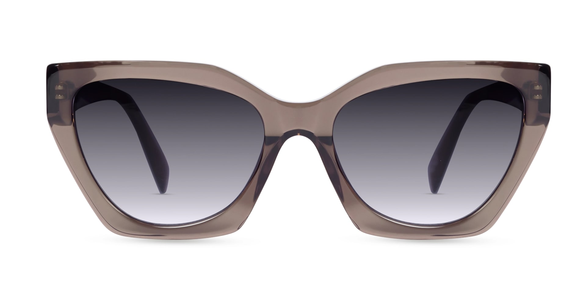 Crystal Mauve Grey Cat-Eye Geometric Sunglasses-1