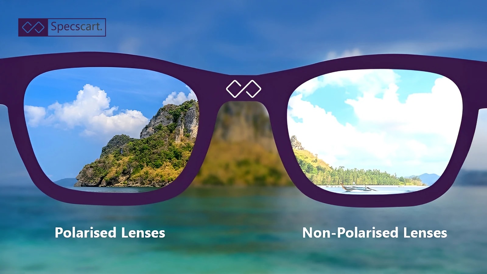 Polarised Vs. Non-Polarised Lenses​