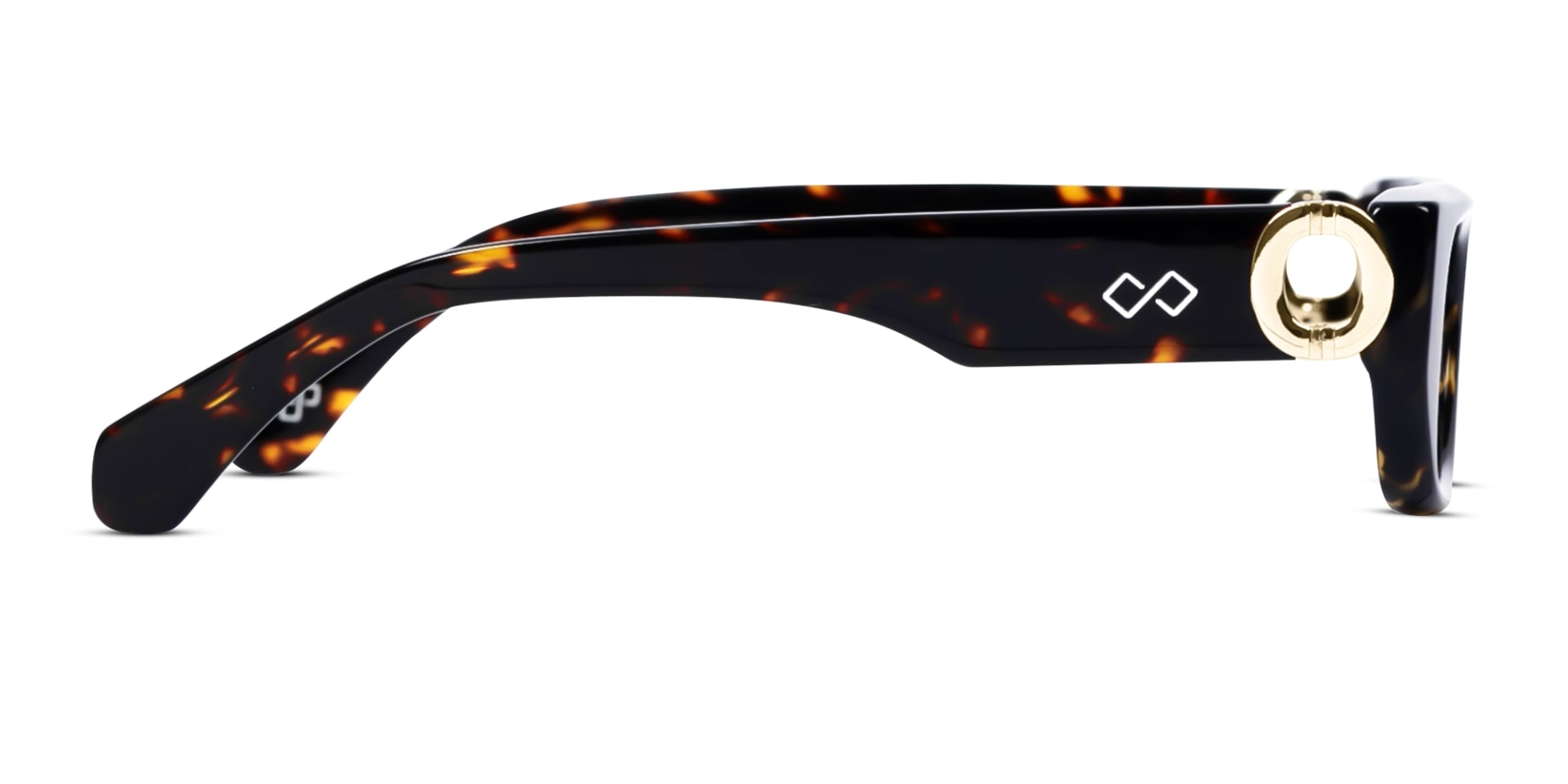 Tortoise Frame With Brown Gradient Tint-4