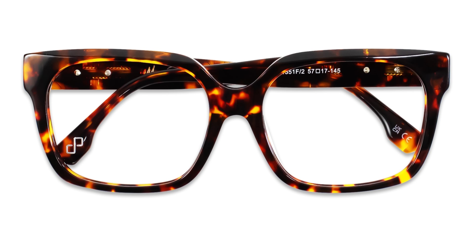 Tortoise Oversized Square Glasses