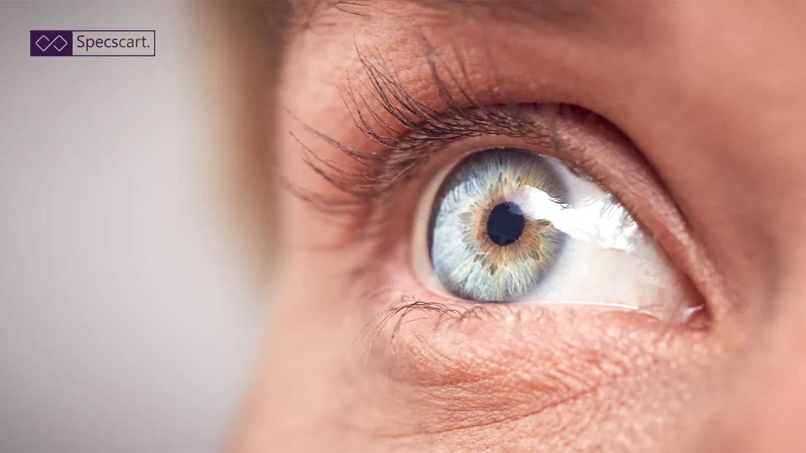 Everything You Need to Know About Optic Neuritis