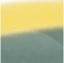 Forest Green & Yellow