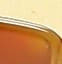 Honey Tortoise & Champagne Gold