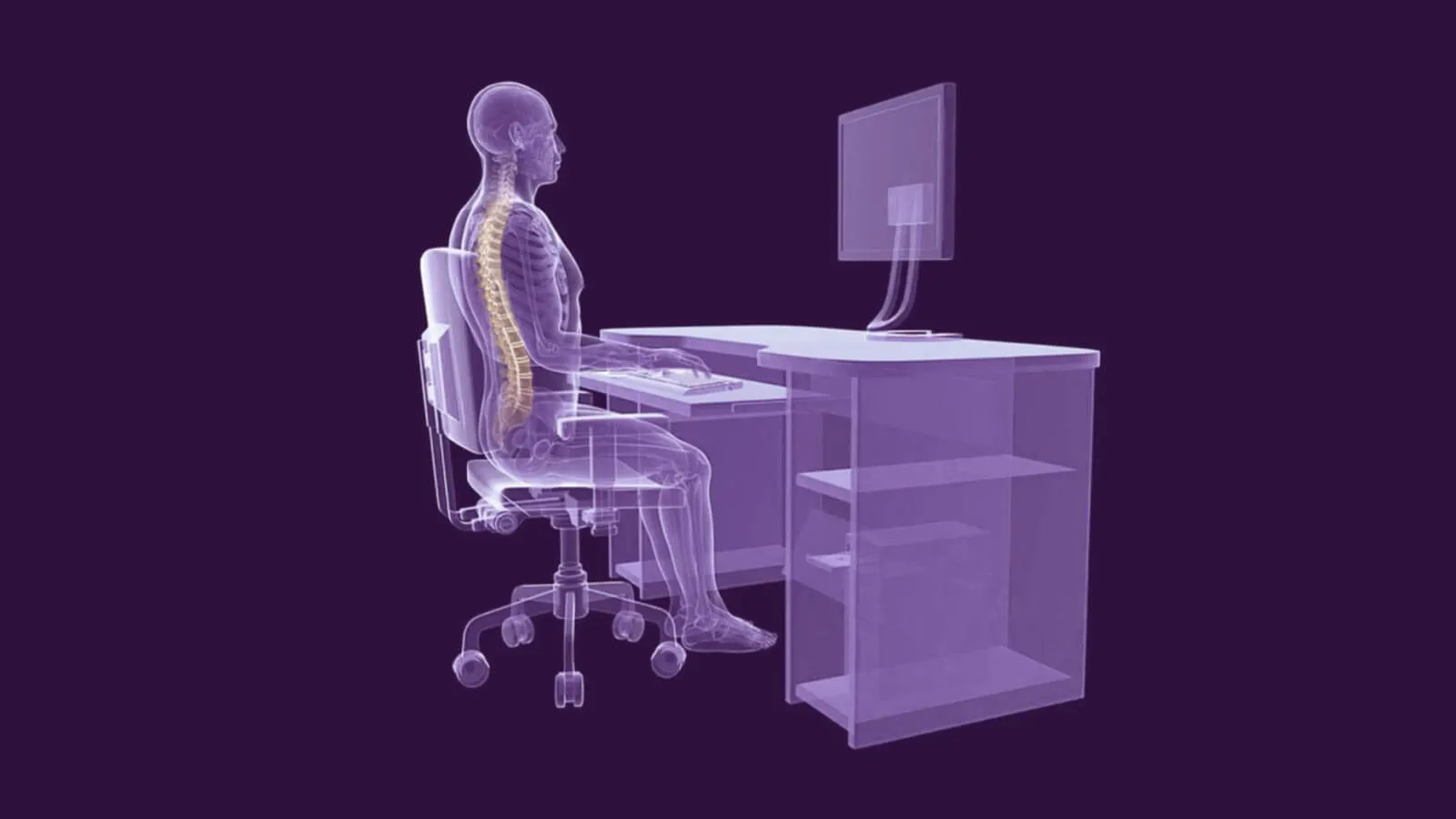 What are Display Screen Equipment (DSE) Users?
