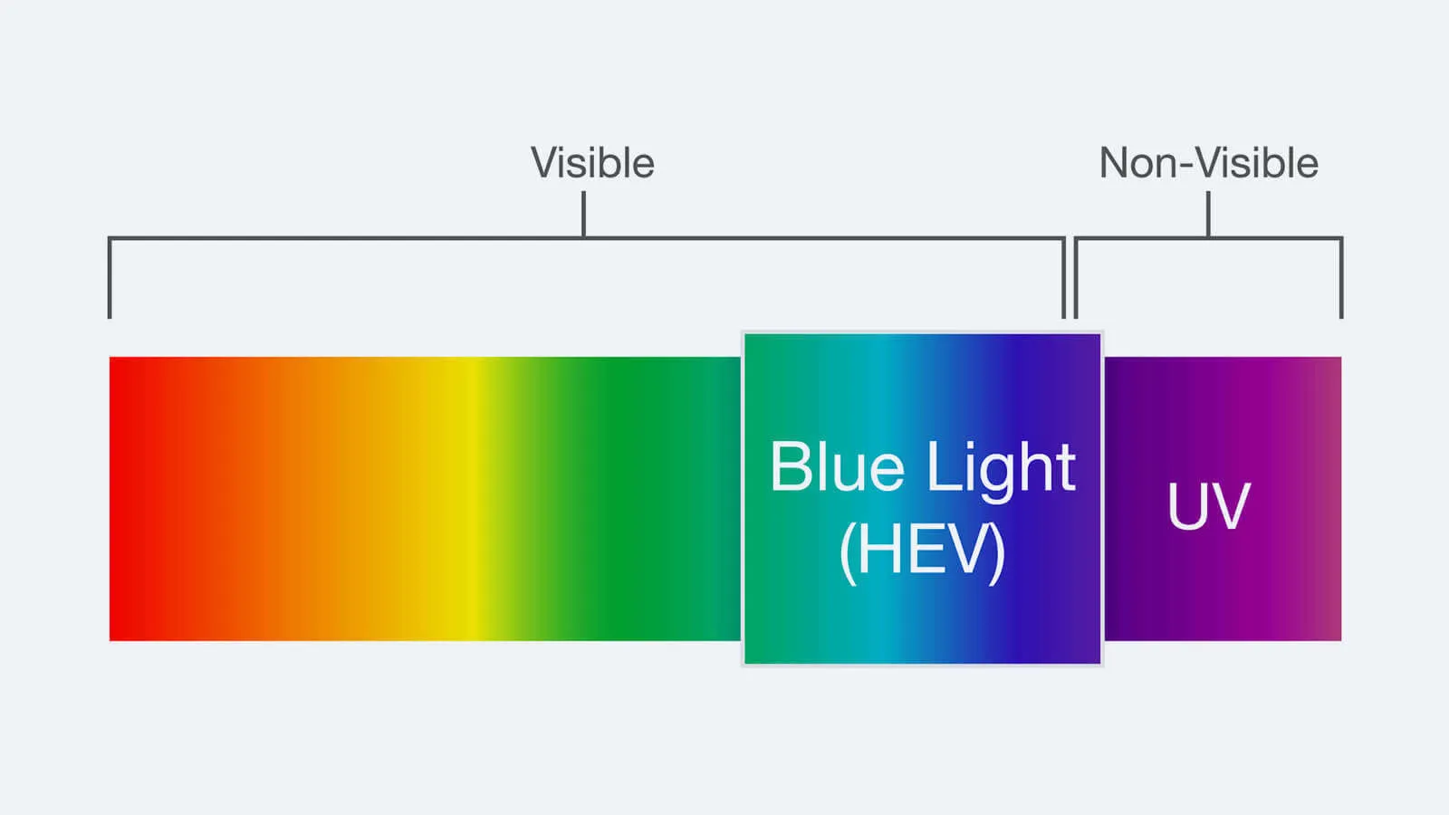 HEV Light vs UV Light