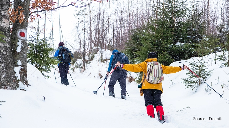 Snowshoeing