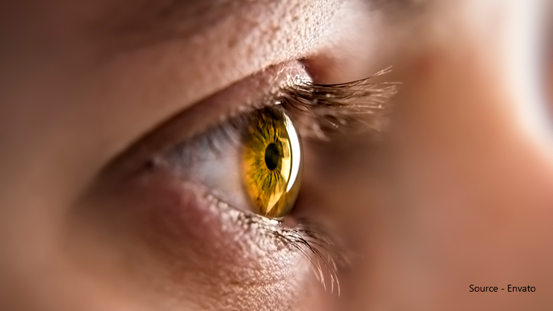 Hazel eyes-1