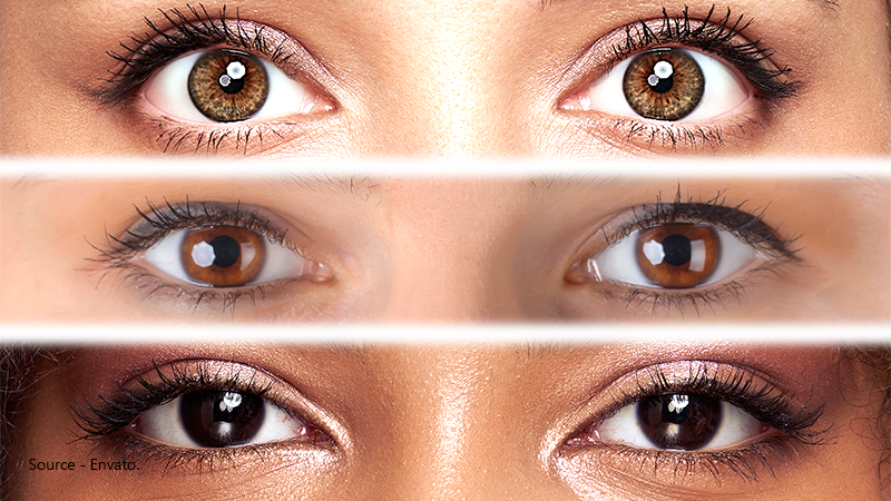 Things You Didn t Know About Brown Eyes