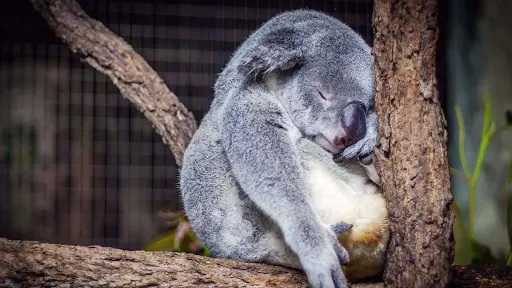 Skip Napping