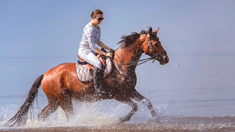 Best Eyewear for Horse Riding
