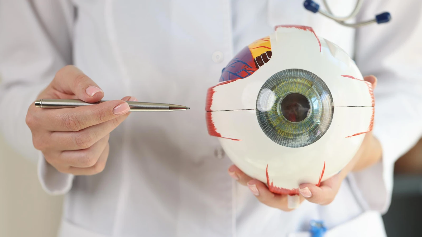 How Does the Structure of the Eye Work
