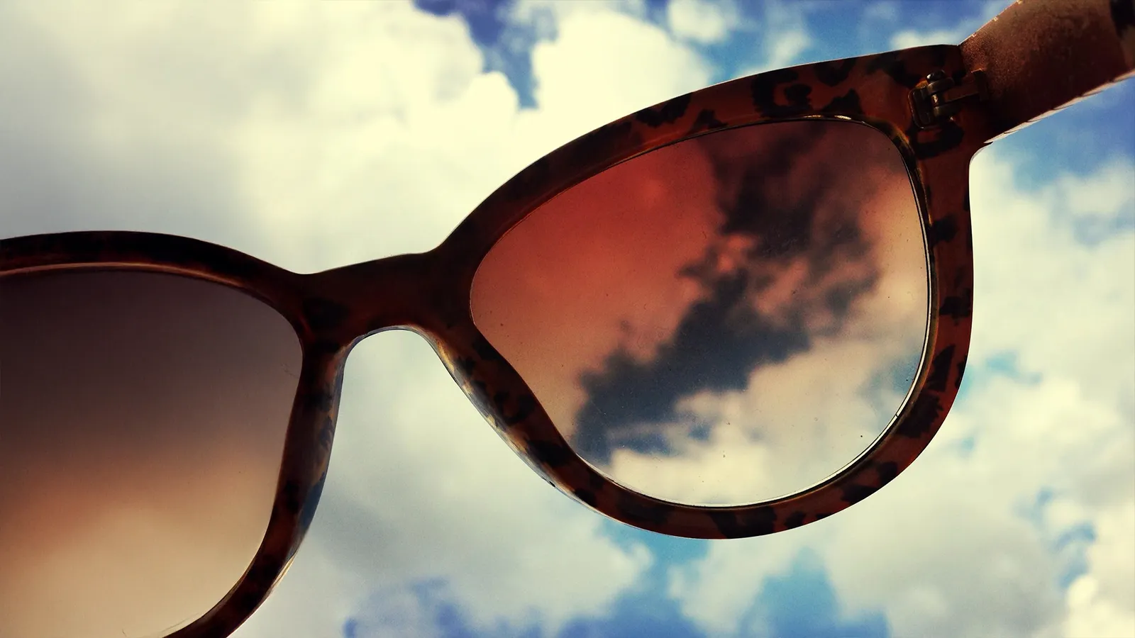 What are Polarised Sunglasses