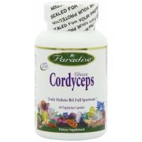 Paradise Herbs, Tibetan Cordyceps - 60 Vegetarian Capsules