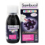 Sambucol, Kids Syrup, Black Elderberry - 4 oz.