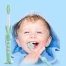 Daystyle, Cute Stand-up Children/kid/adult Toothbrush with Sucker (5 Pack Little Bear)