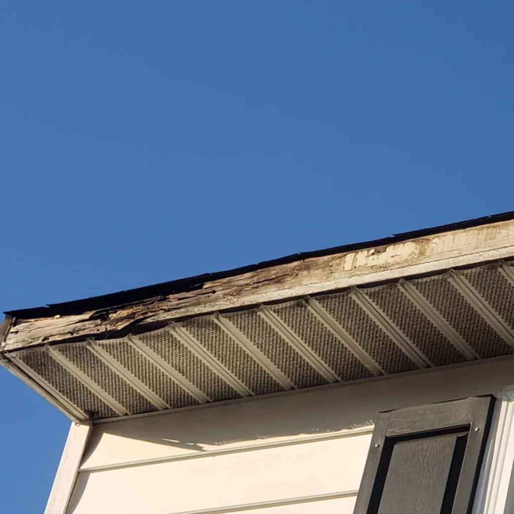 Fascia Repair