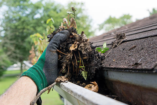 Gutter Cleaning Service