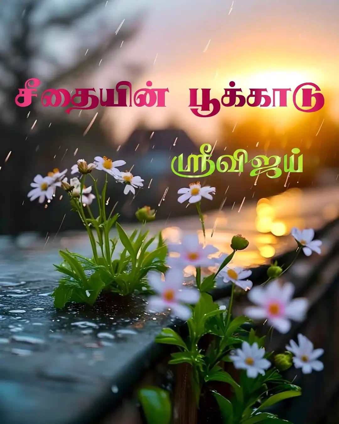 சீதையின் பூக்காடு - ஆரவி 🩷 விபுநந்தன் சீதையின் பூக்காடு