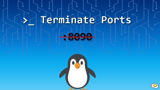 Terminate ports in Ubuntu