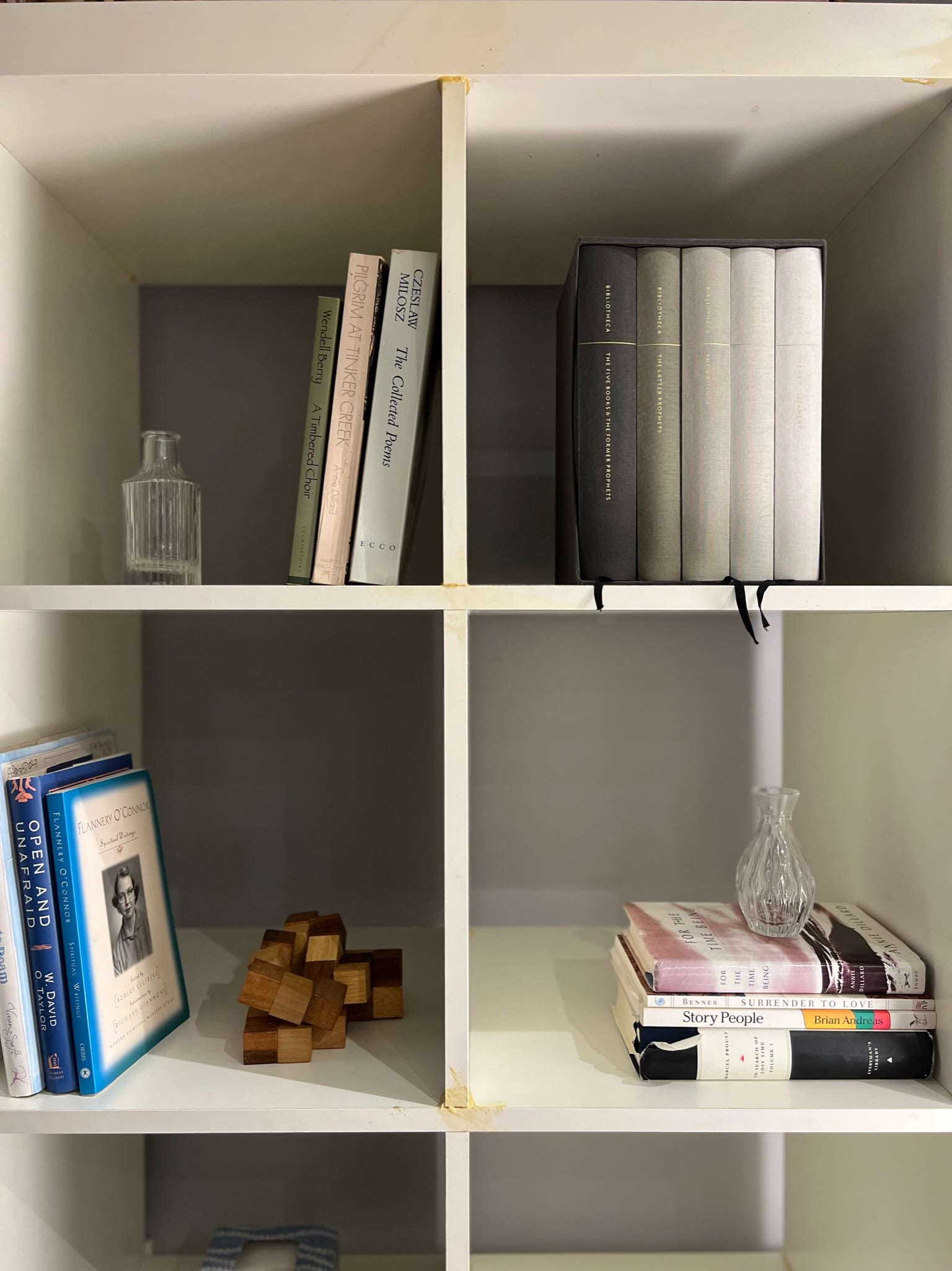 Curated bookshelf with contemplative reading