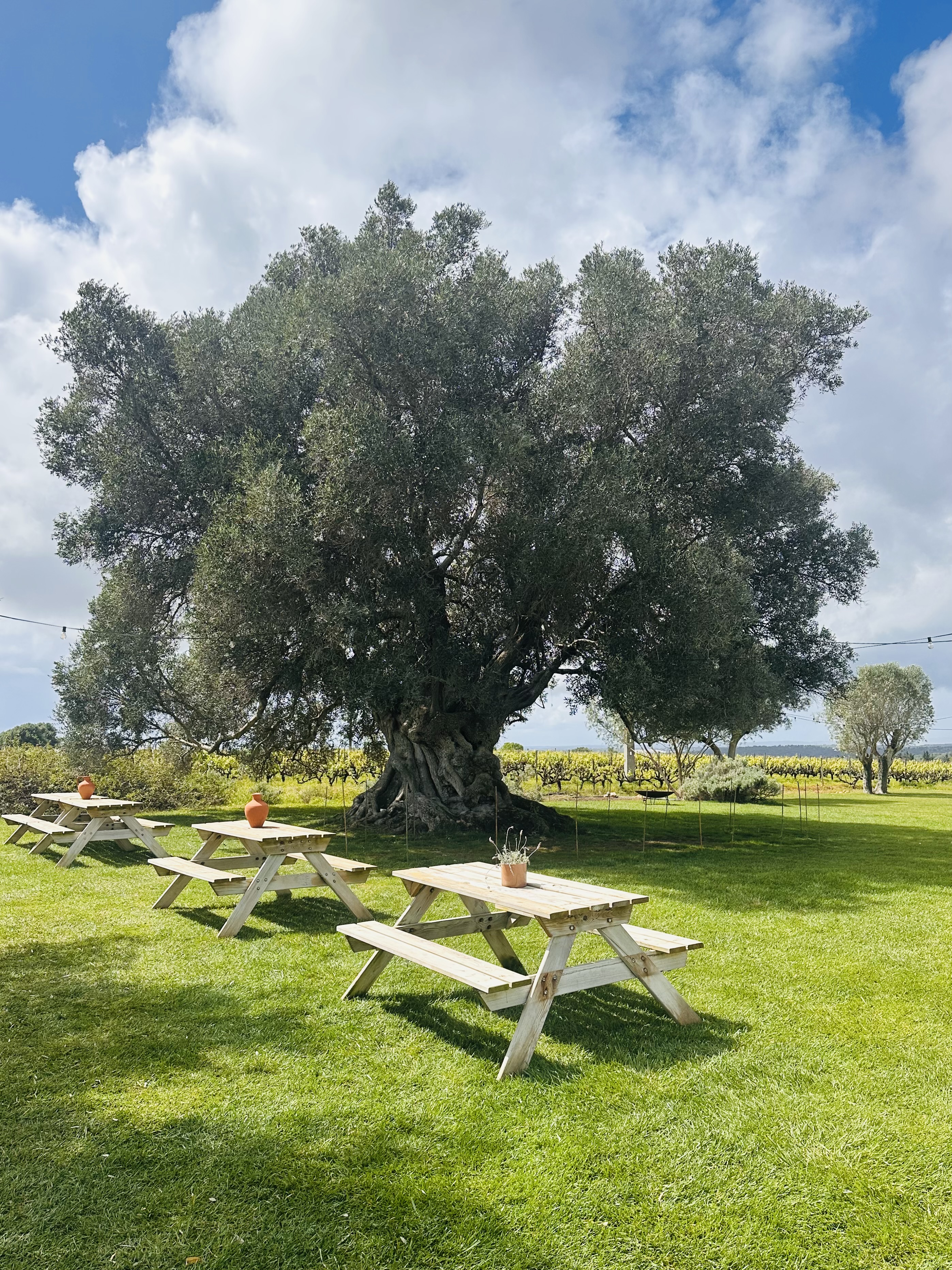 Deep Roots - Long Table: IJM Alumnae Retreat