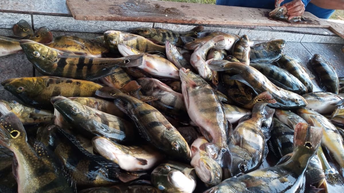 Foto do empreendimento