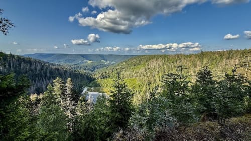 Parc national de la Forêt-Noire