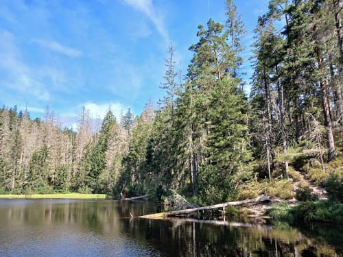 Wilder See - Hornisgrinde