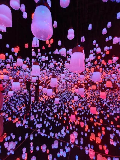 teamLab Borderless: MORI Building DIGITAL ART MUSEUM