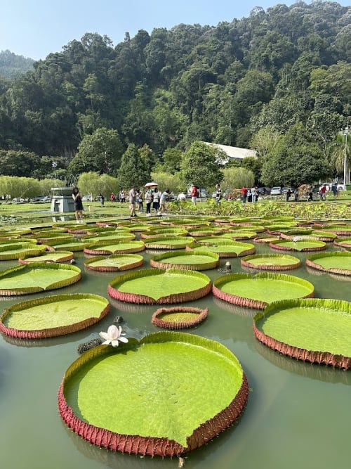 Botanical Gardens Penang