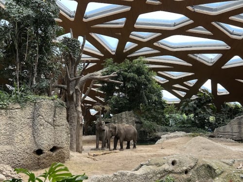 Zoo de Zurich