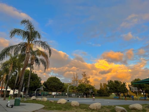 Pan Pacific Park