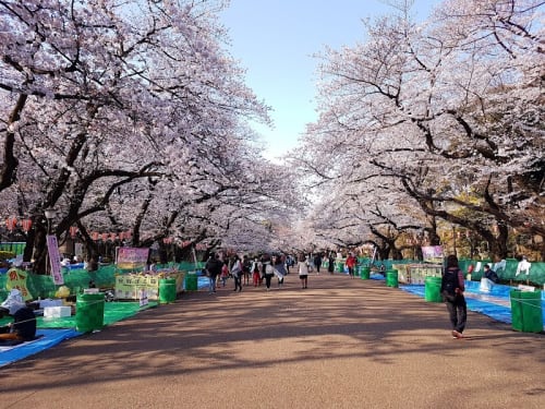 Parc d'Ueno