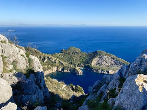 Pineta di San Costanzo