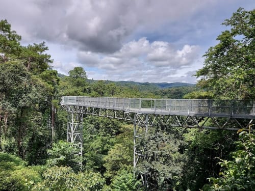 The Canopy Walks