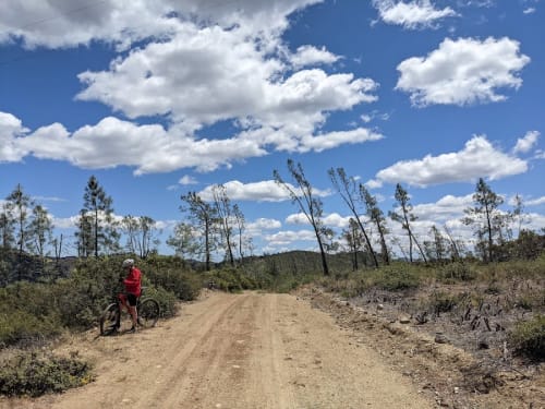Las Posadas State Forest