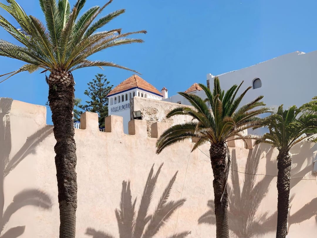 Villa Maroc : L’essence d’Essaouira - Villas et chambres d'hôtes - image principale