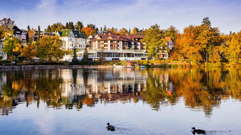 Romantischer Winkel, un havre familial au cœur du Harz - Hôtels - vue panoramique