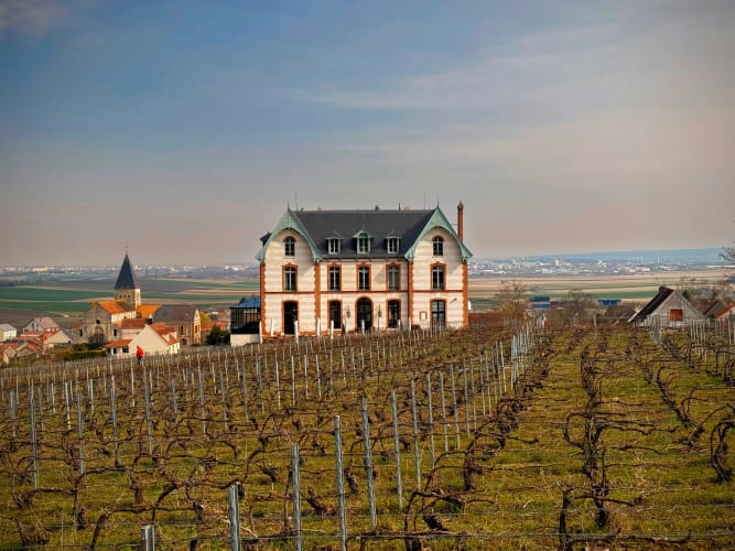 Château de Sacy, au cœur des vignes de Champagne - Hôtels - vue panoramique