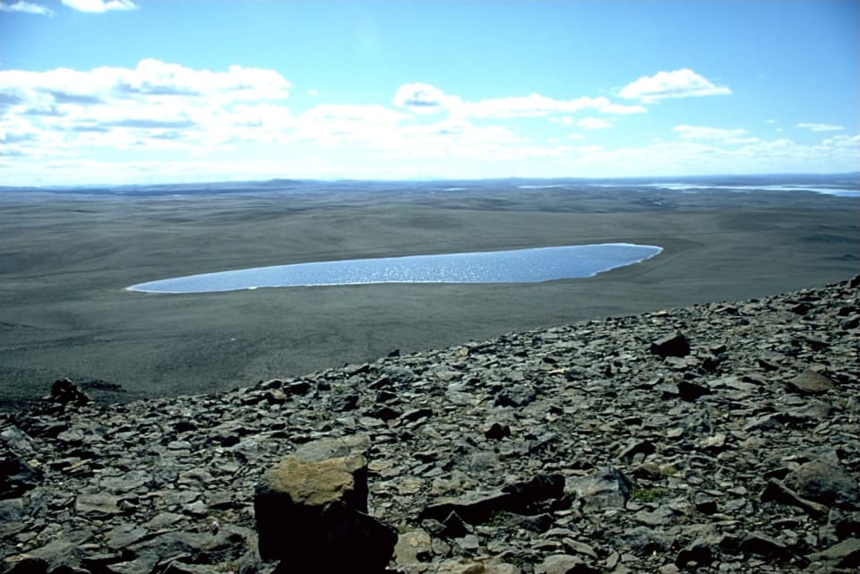 Barrens