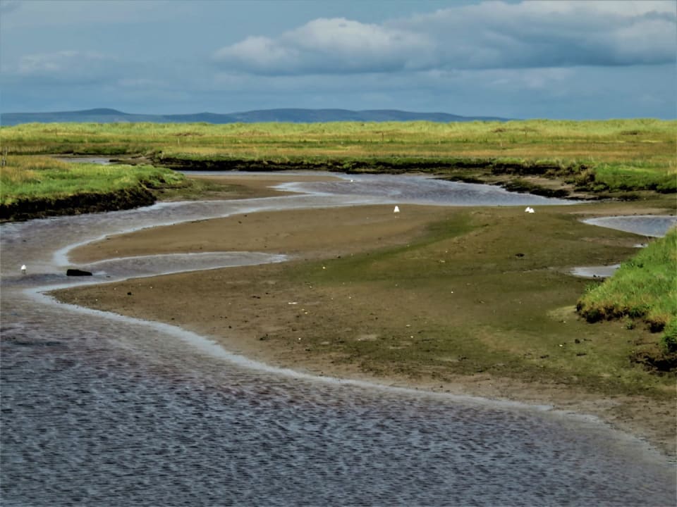 Estuary