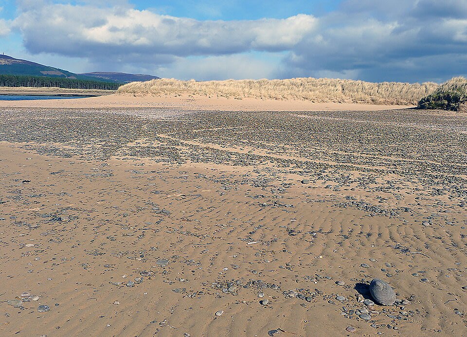Sandy Shore