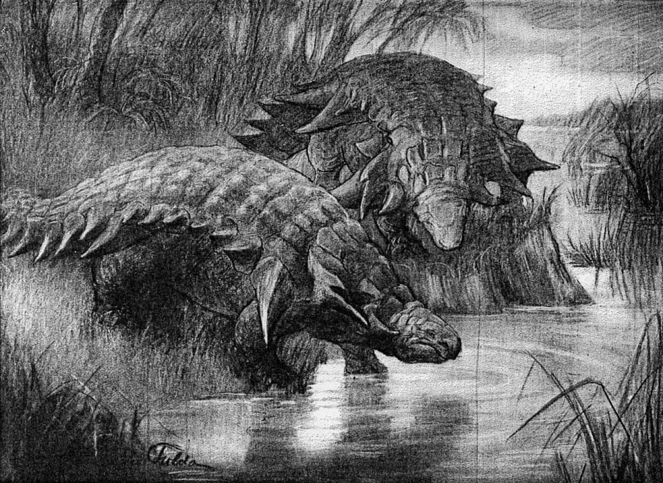 Ankylosaurus