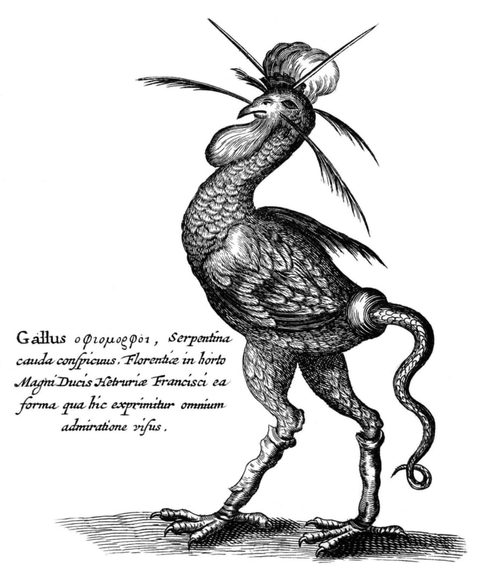 Cockatrice