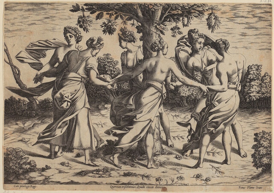 Dryad