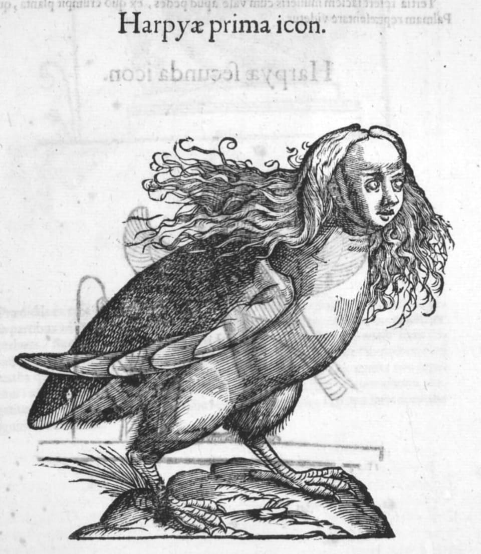 Harpy