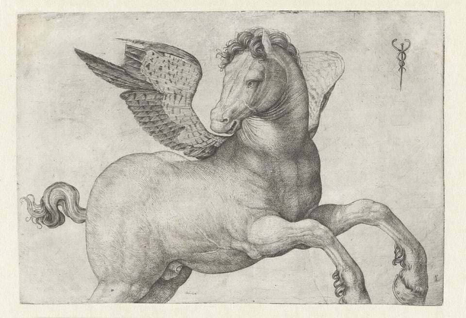 Pegasus