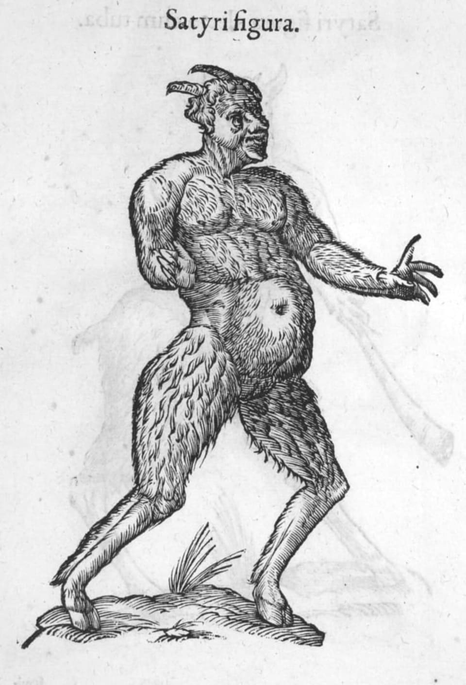 Satyre