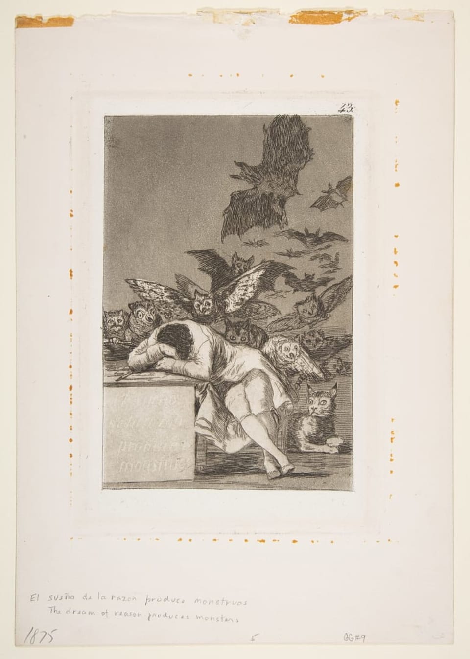 Nuée de chauves-souris