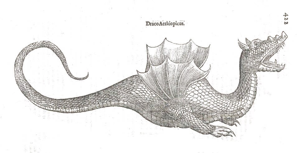 Wyvern